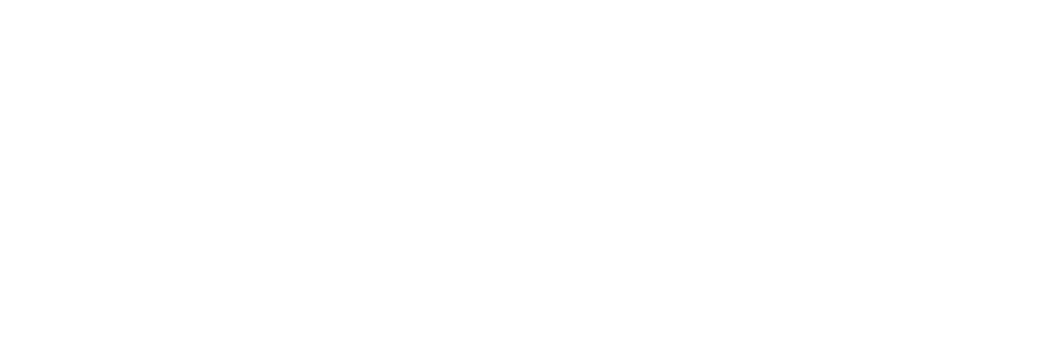 IBDiM